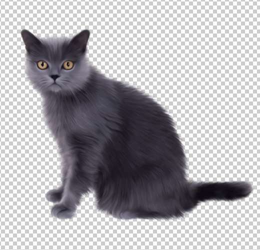 Image masking