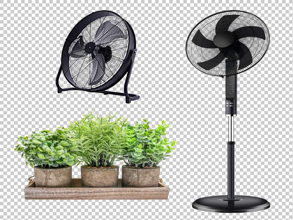 Clipping path service