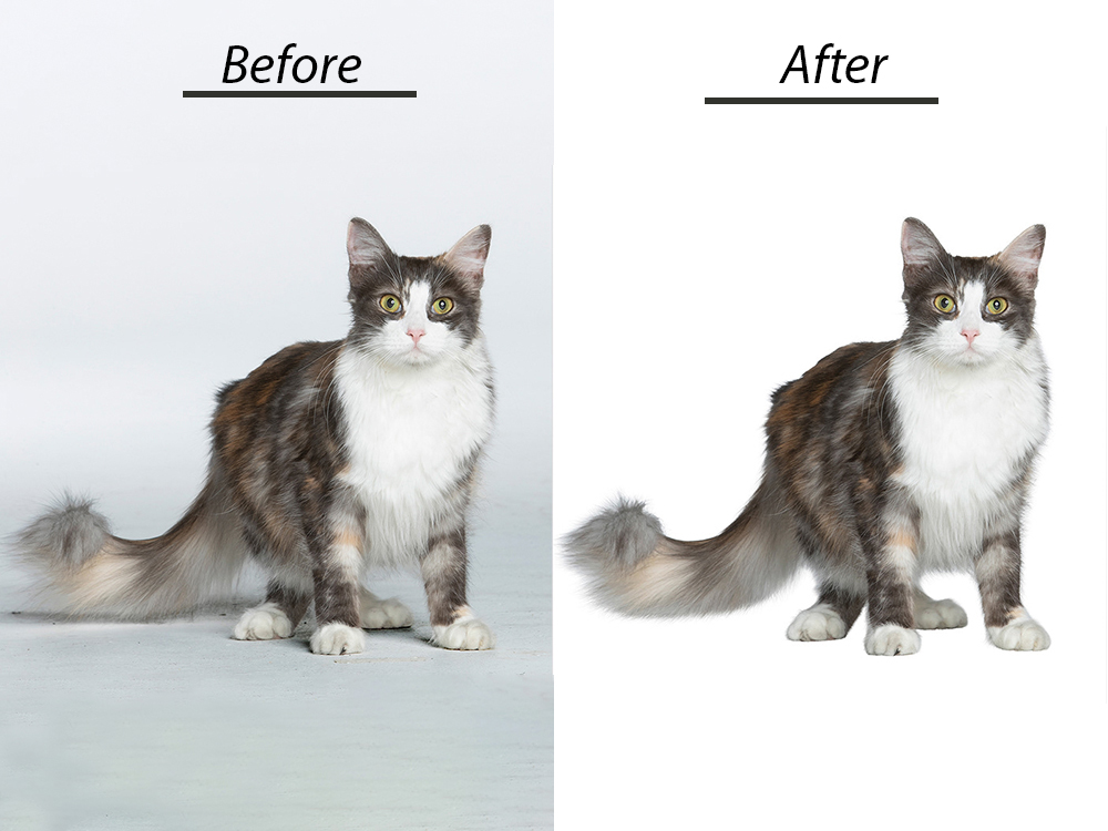 Image Masking